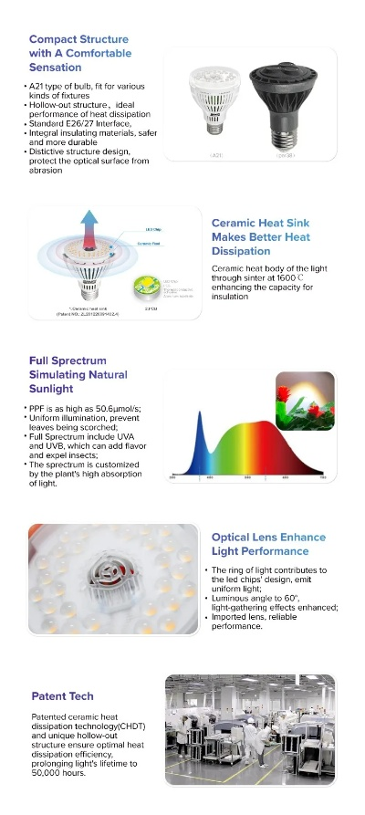 The Dynamic Landscape of Light Industry and Textiles in Hebei Province