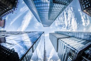 The 2019 Textile Trade Landscape:Challenges,Opportunities,and Strategies