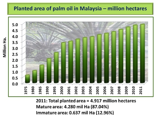 Palm Oil in the Fashion Industry:A Sustainable Solution or a Green Myth?