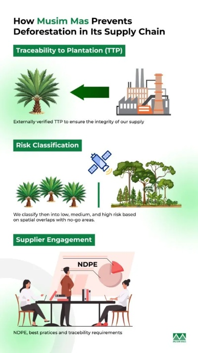 Palm Oil in the Fashion Industry:A Sustainable Solution or a Green Myth?