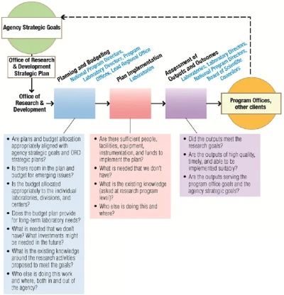 Understanding and Managing Allergic Reactions to Textiles