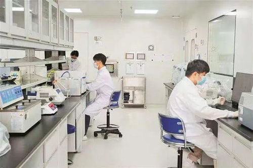 茵曼斯纺织品，探索与体验