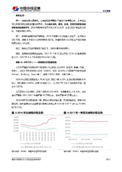 特种纺织品股票分析报告
