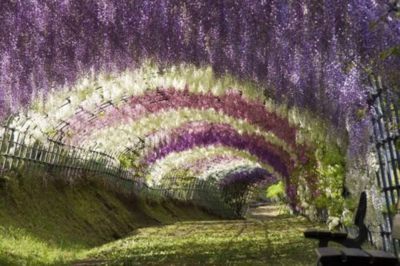 The Trendy Textiles Revolution:A Look at the Latest Fabric Trends