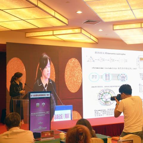 Exploring the Evolution and Impact of Dali Xinghua Textile Factory