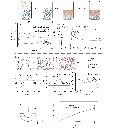 A Comprehensive Review of Textile Antimicrobial Performance