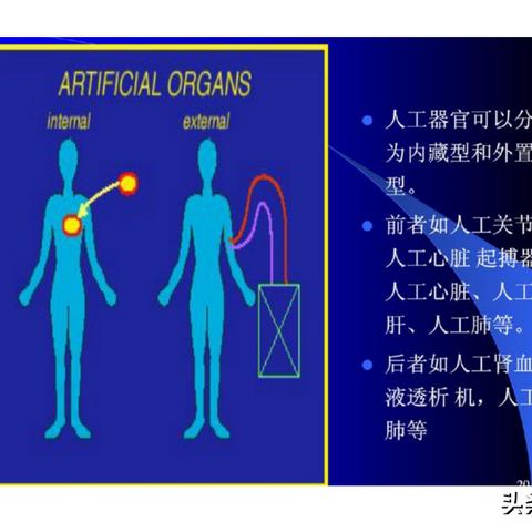 纤维是否属于纺织品？案例分析与说明
