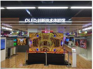 青岛宝威纺织品，品质与时尚的完美融合