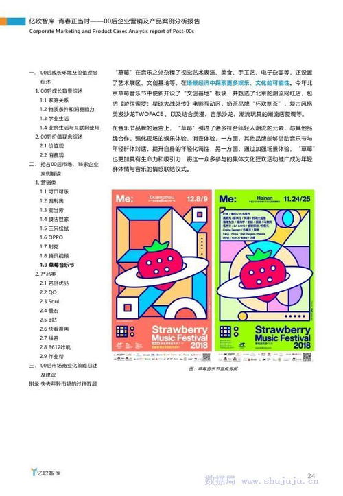 德国经营纺织品公司案例分析