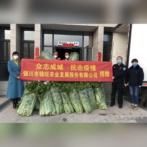 中国纺织品标准表与实际应用案例分析