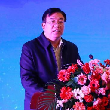 纺织品国家分类标准与案例分析