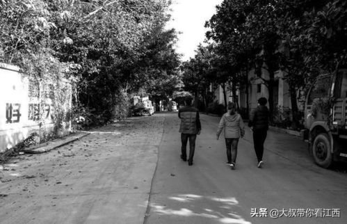 在繁忙的纺织厂马路，我们听到了生活的喧嚣与活力。今天，让我们一同走进这片土地，感受它的魅力与故事