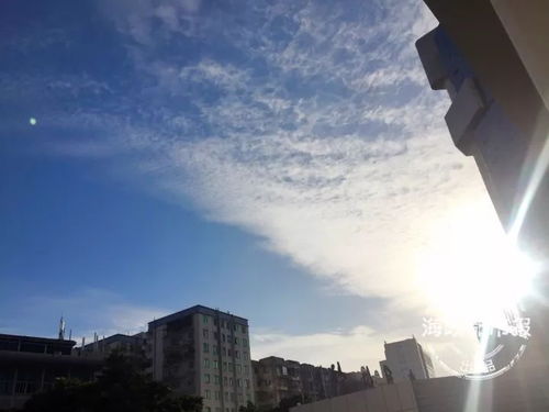 在繁忙的纺织厂马路，我们听到了生活的喧嚣与活力。今天，让我们一同走进这片土地，感受它的魅力与故事