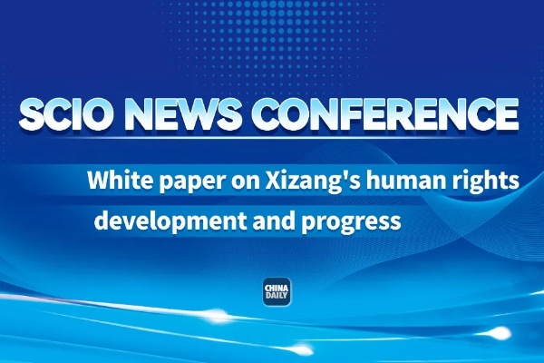 Exploring the Global Success of Qixin Textiles A Case Study