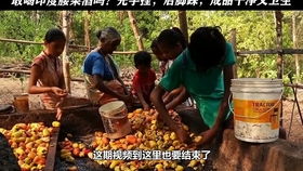 The Magic of网红糖葫芦纺织品