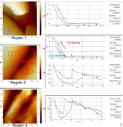 The Dynamics of Nantong Pengqi Textiles:A Comprehensive Analysis
