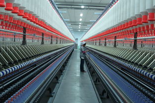 High Yang Textile Wholesale Platform Telephone Numbers