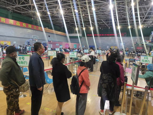 顺义区外贸针纺织品批发市场概览