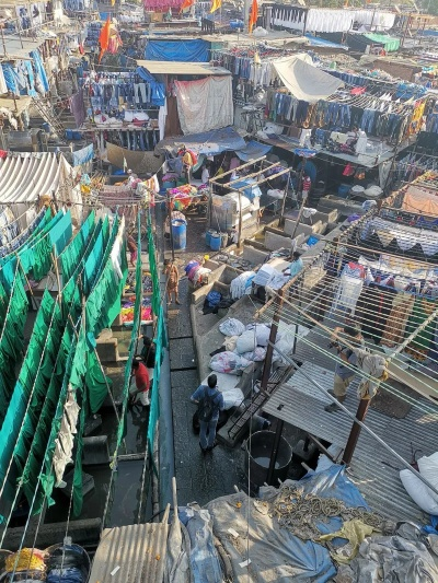 纺织厂鱼市，生态与商业的交织