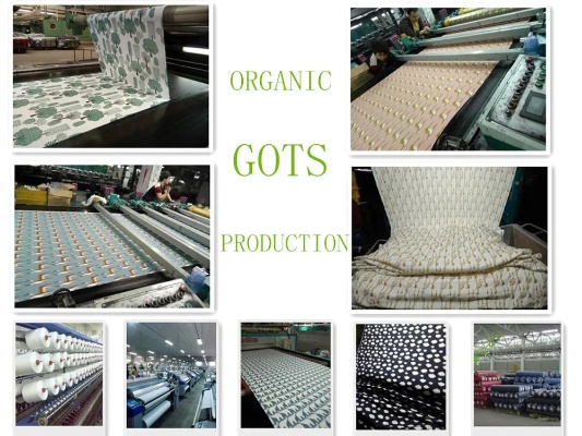 High Cloud Textiles:Crafting Comfort with Quality