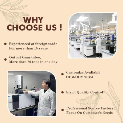 Pearlescent Progress:The Story of Haimen Districts Perfumed Textiles Factory