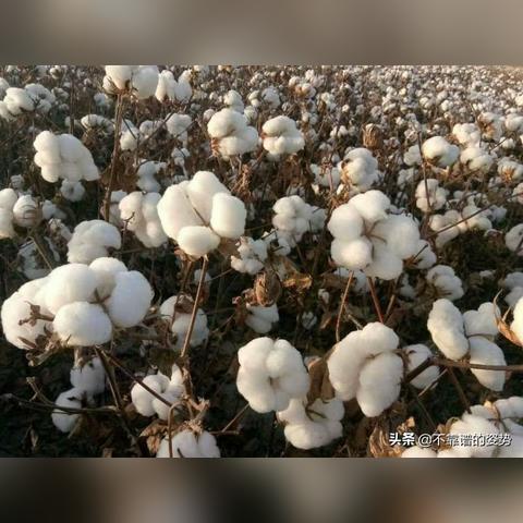 纺织品产地证英文口语指南
