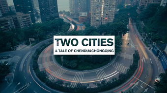 Shanghais Fabrics:A Tale of Two Goods