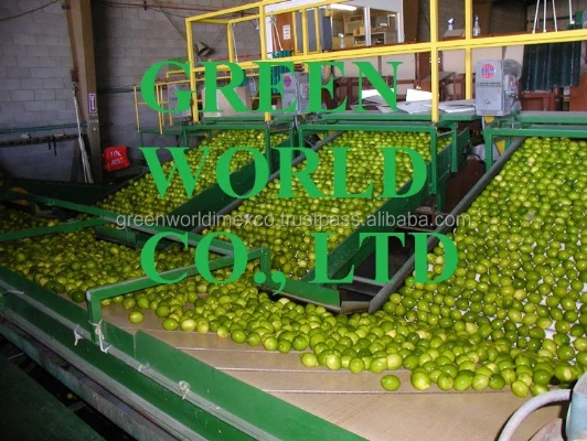 The Story of Textile Factory Lime