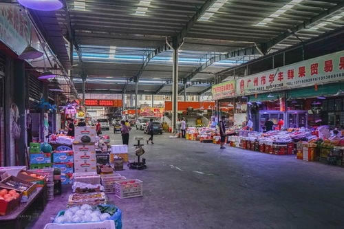 大连纺织品批发市场探访