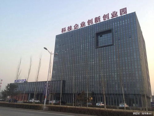 保定高盛纺织品厂，纺织业的璀璨明珠