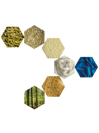 The Art of Plant-Based Textiles:Design,Manufacture,and Sustainability