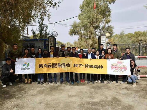 毛边纺织厂，探索绿色纺织之路