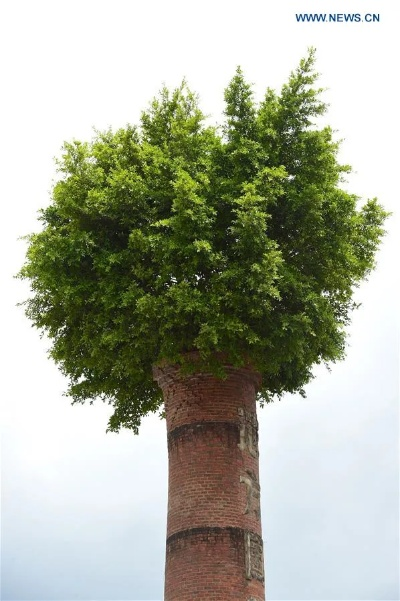 The Transformative Power of the Banyan Tree in Textiles