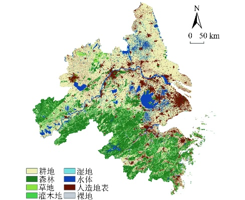 The Dynamic Landscape of Textiles in the Context of Zhejiang Changxing
