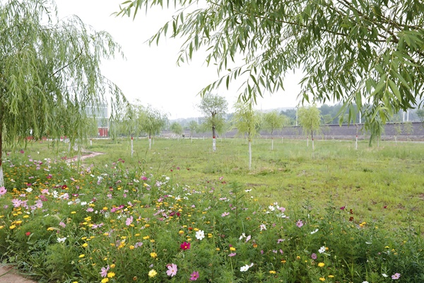 纺织厂花园的美景与体验