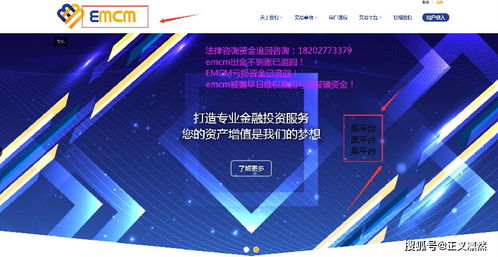 纺织品直播间排名揭秘