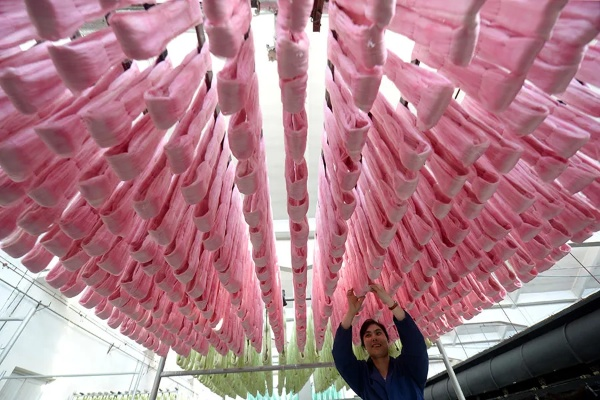 Exploring the Future of Sustainable Textiles in Hangzhou,China