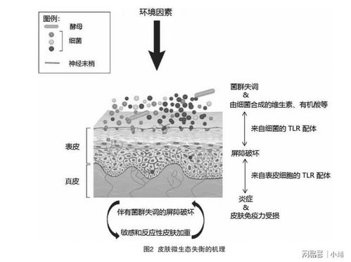 抗菌纺织品现状分析