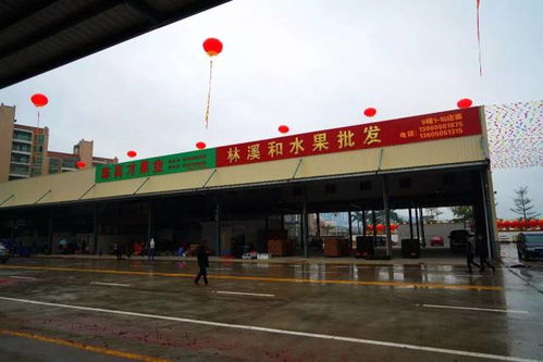 玉林百货纺织品批发站地址及案例分析