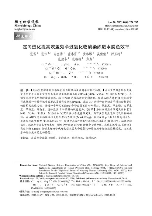 The Evolution of Honghe Textile Factory:A Journey Through Time
