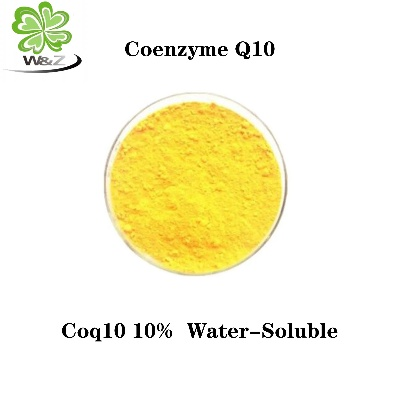 Exploring the Power of Coenzyme Q10 in Textiles