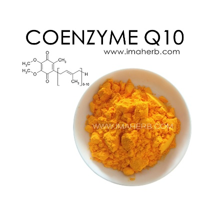 Exploring the Power of Coenzyme Q10 in Textiles