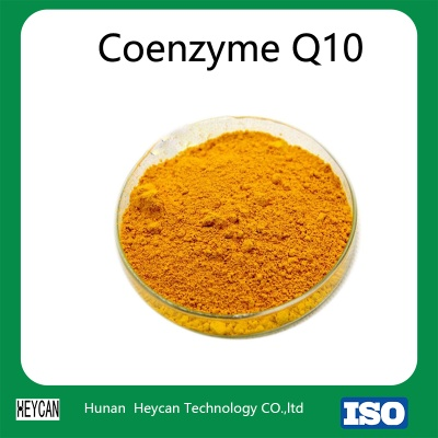 Exploring the Power of Coenzyme Q10 in Textiles