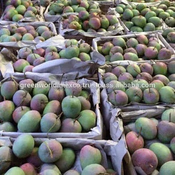 Introduction to the Red Mango Textile Wholesale Market