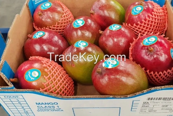 Introduction to the Red Mango Textile Wholesale Market