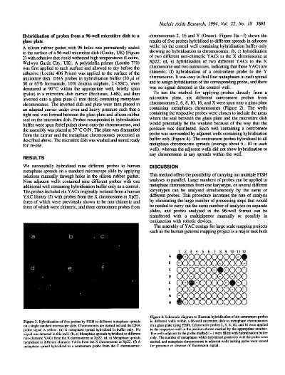 The Expanding Horizons of Antimicrobial Textiles