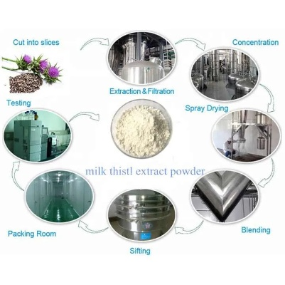 The Pros and Cons of Milk Protein Fiber Textiles