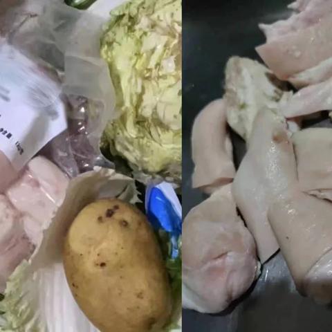 进口针纺织品上海批发商案例分析