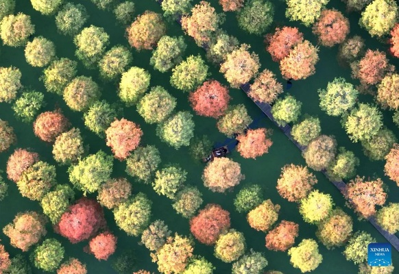 Exploring the World of Colorful Textiles in Jiangsu,a Land of Rain and Color