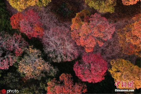 Exploring the World of Colorful Textiles in Jiangsu,a Land of Rain and Color